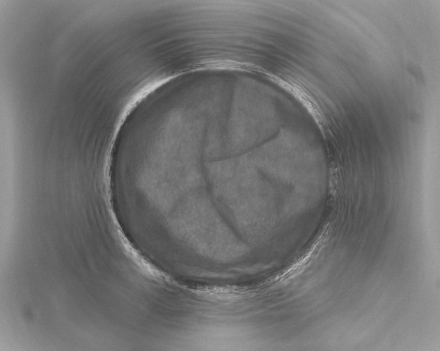 X0000115630995200912011437