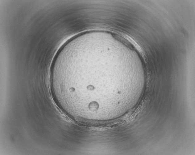 X0000115630996200912011437