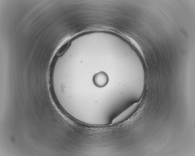 X0000115630997200912011437