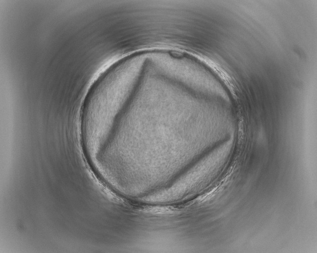 X0000115630998200912011437