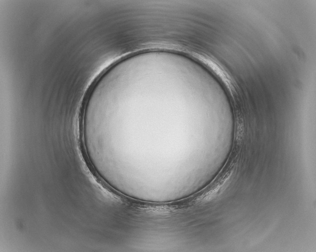 X0000115630999200912011437