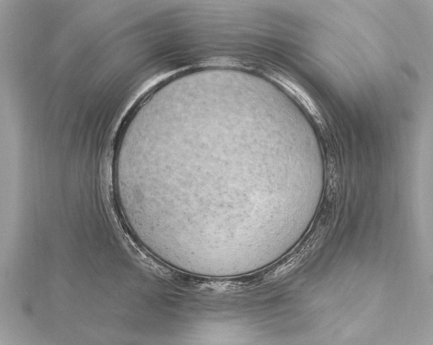 X0000115631000200912011437