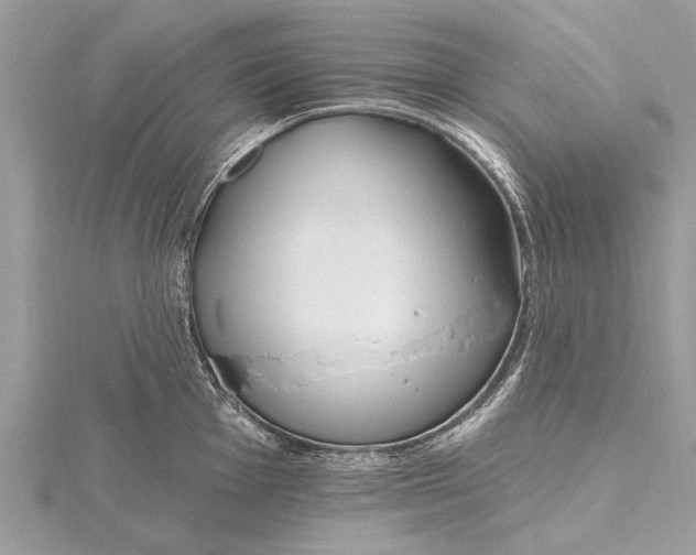 X0000115631001200912011437