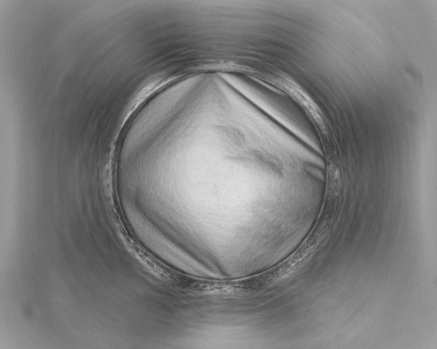 X0000115631002200912011437