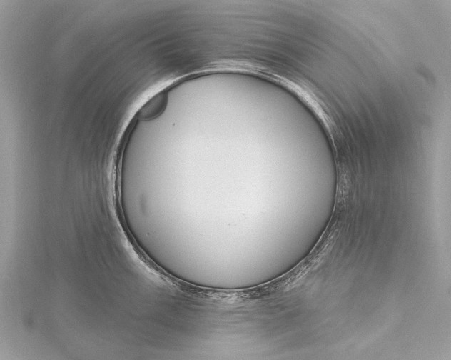 X0000115631003200912011437