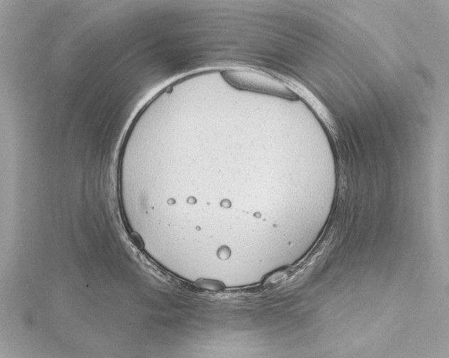 X0000115631004200912011437