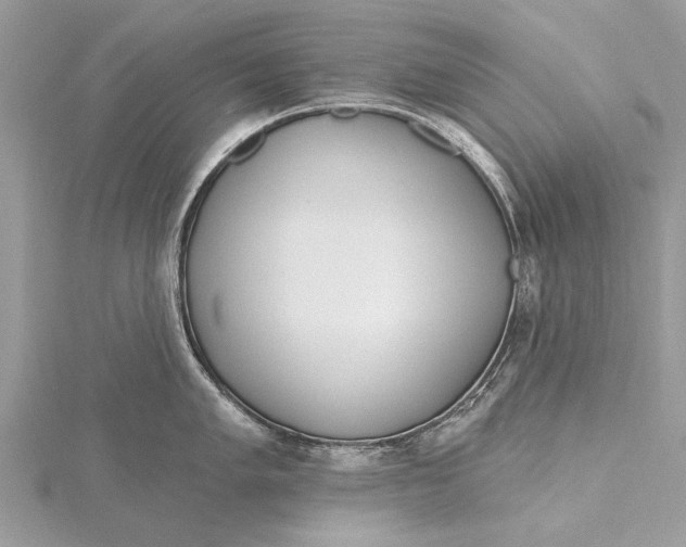 X0000115631005200912011437