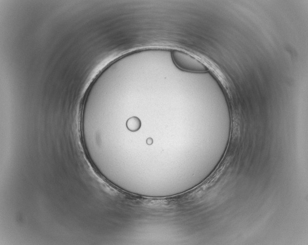 X0000115631006200912011436