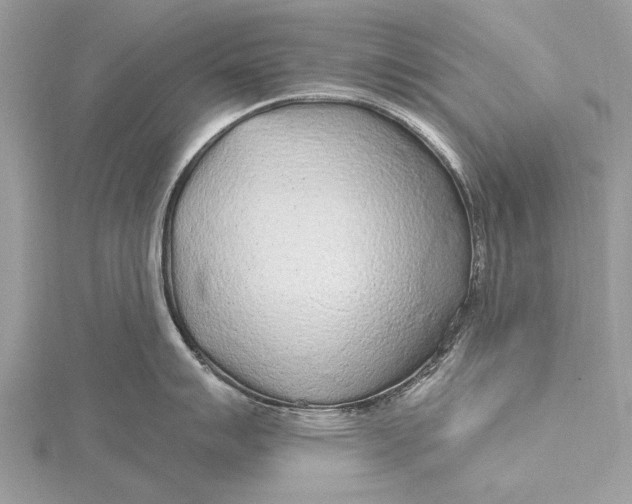 X0000115631007200912011436