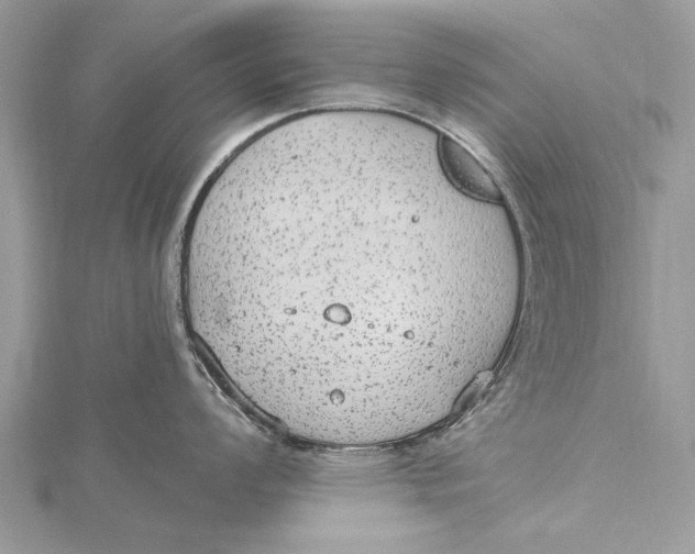 X0000115631008200912011436