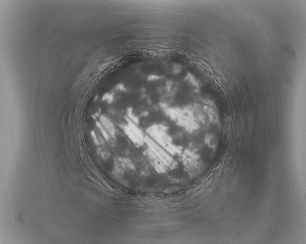 X0000115631009200912011436