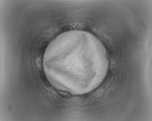 X0000115631010200912011436