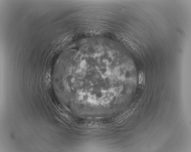 X0000115631011200912011436