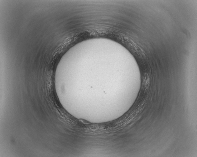 X0000115631012200912011436