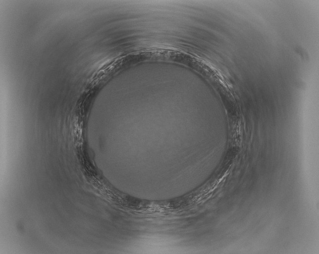 X0000115631013200912011436