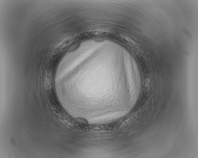 X0000115631014200912011436