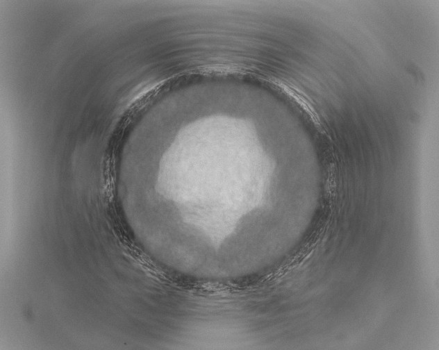 X0000115631015200912011436