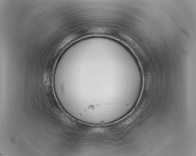 X0000115631017200912011436