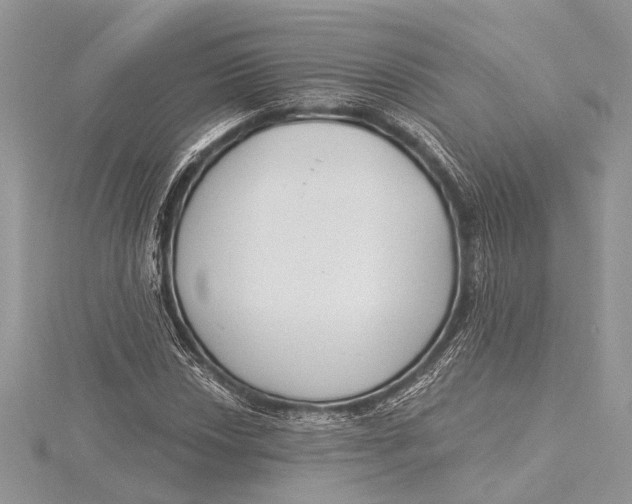 X0000115631018200912011436