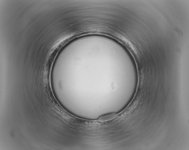 X0000115631019200912011436