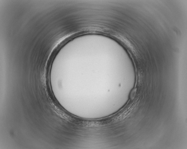 X0000115631020200912011436