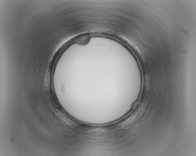 X0000115631021200912011436