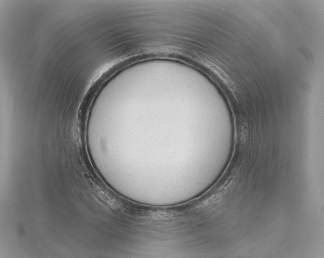 X0000115631022200912011436