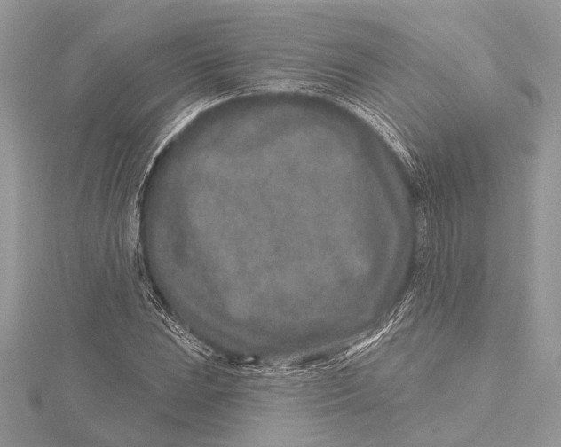 X0000115631023200912011436