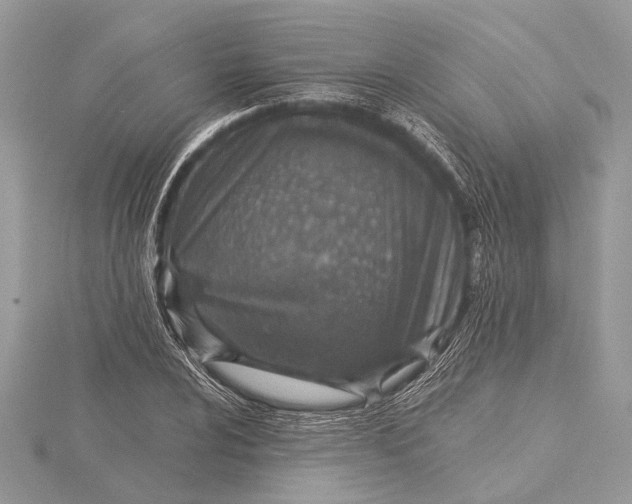 X0000115631024200912011436