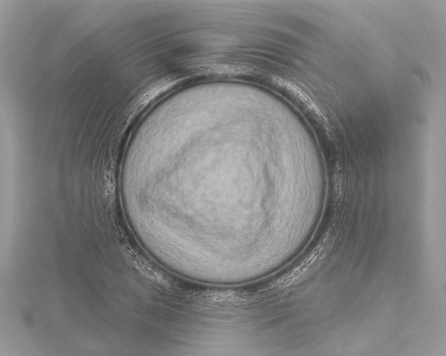 X0000115631025200912011436