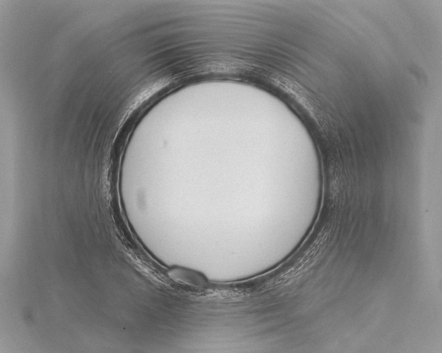 X0000115631026200912011436