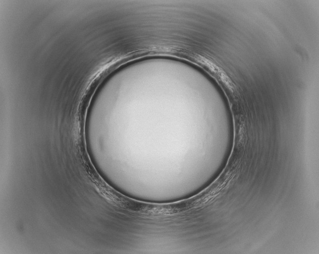 X0000115631027200912011436