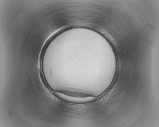 X0000115631028200912011436