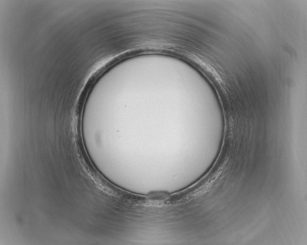 X0000115631029200912011436