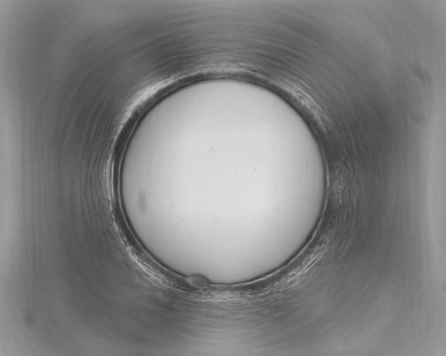 X0000115631030200912011436