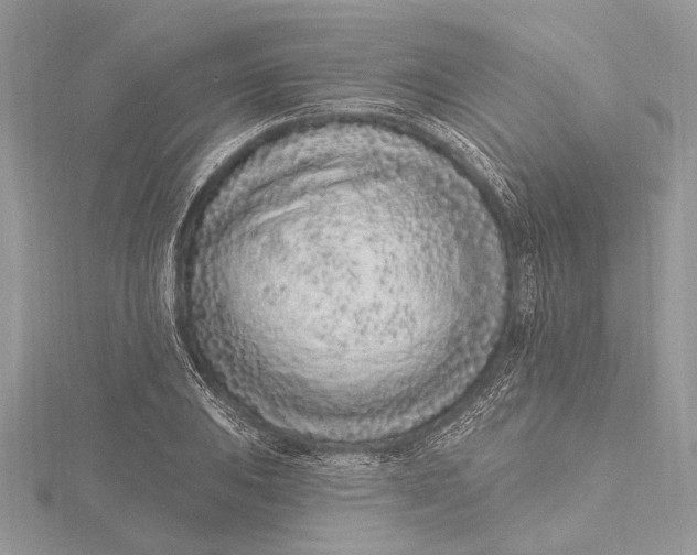 X0000115631031200912011436