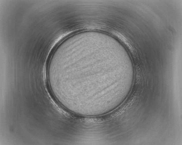 X0000115631032200912011436