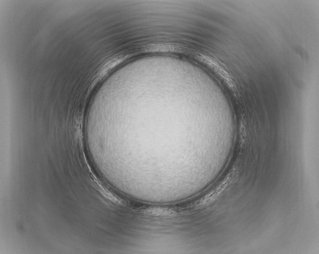 X0000115631033200912011436