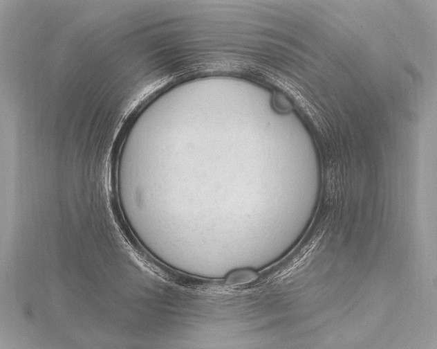 X0000115631034200912011436