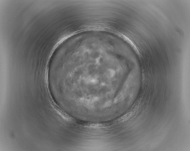 X0000115631035200912011436