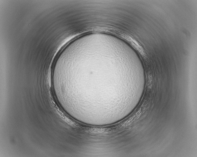 X0000115631036200912011436