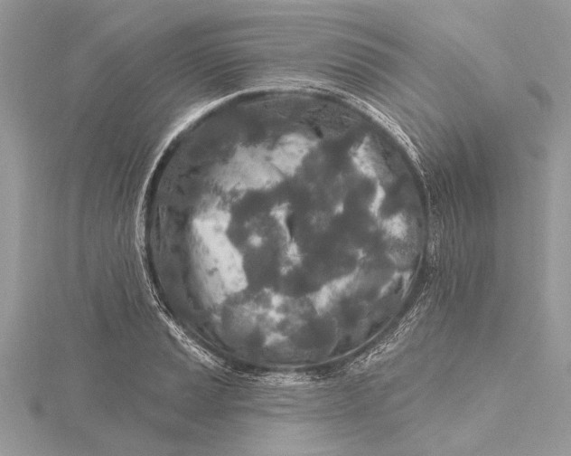 X0000115631037200912011436