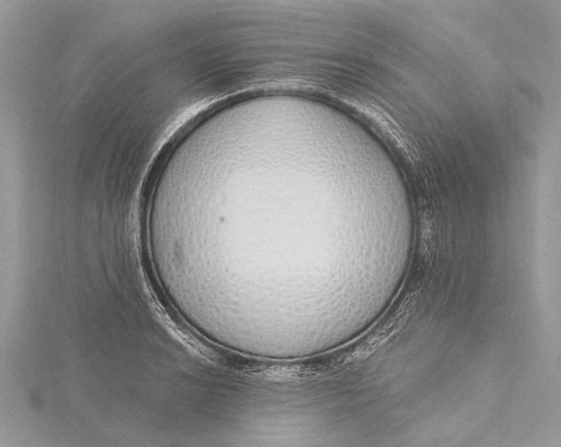 X0000115631038200912011436