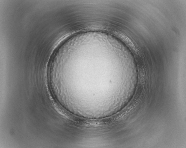 X0000115631039200912011436