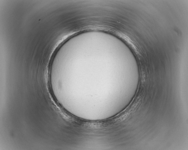 X0000115631040200912011436