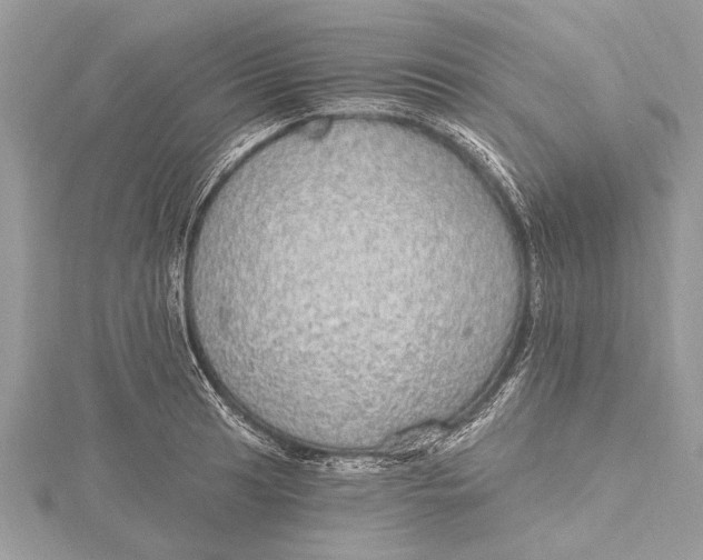 X0000115631041200912011436