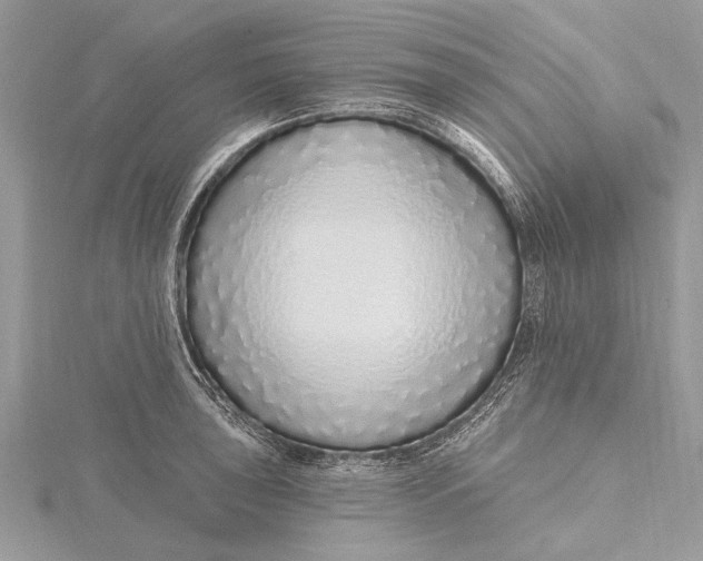 X0000115631043200912011436