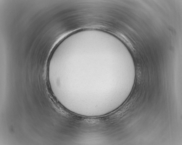 X0000115631044200912011436