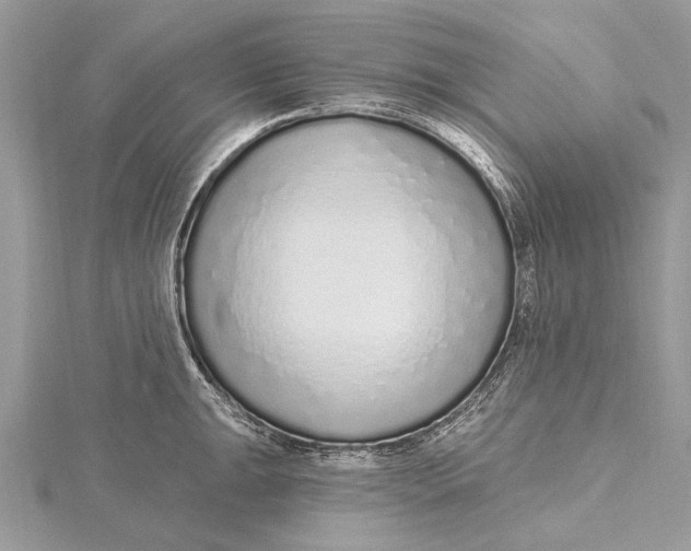 X0000115631047200912011436