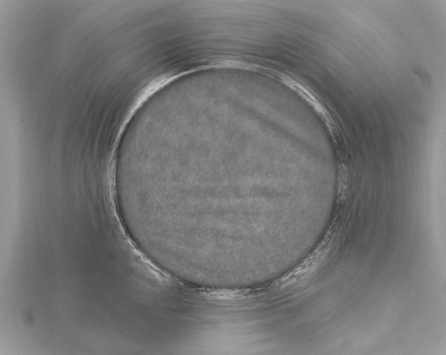 X0000115631048200912011436